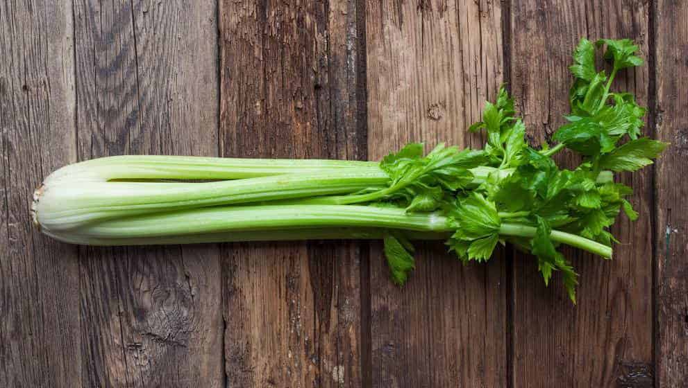 celery for ED